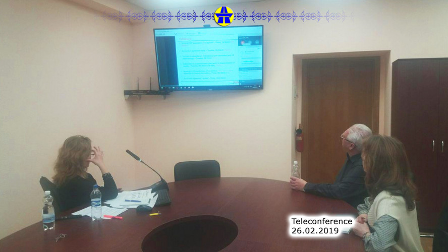Teleconference on the development of the project idea