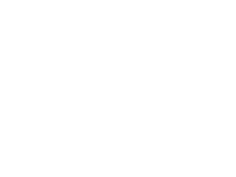 Інформація про лекторів